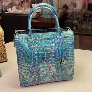 Brahmin- Large Caroline in Dragon